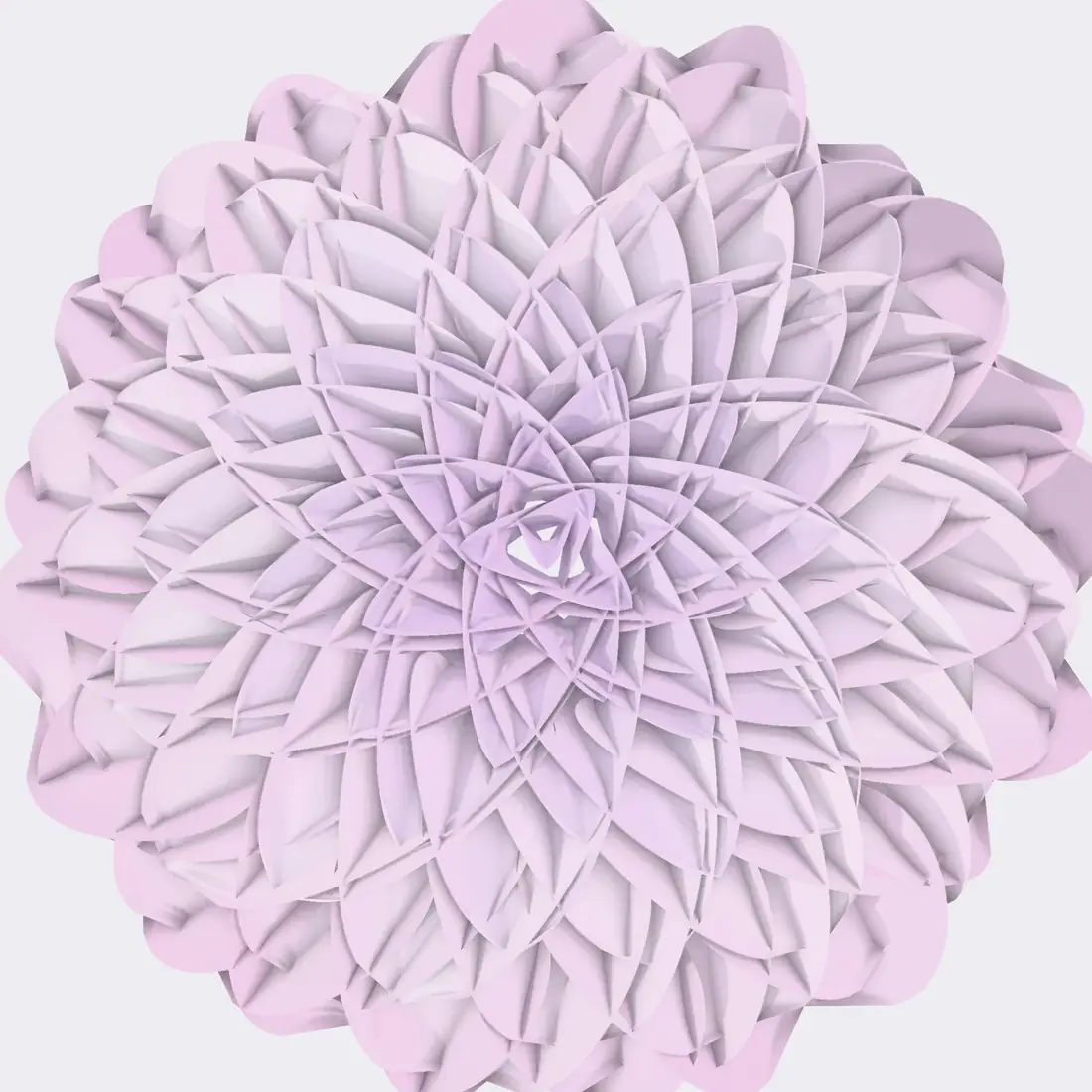 A sculptural lilac bloom photographed from above, its petals spiralling from the centre