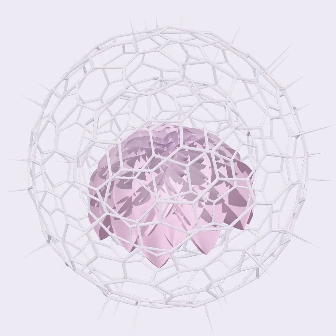 A rose-tinted bloom suspended inside a white geodesic cell structure