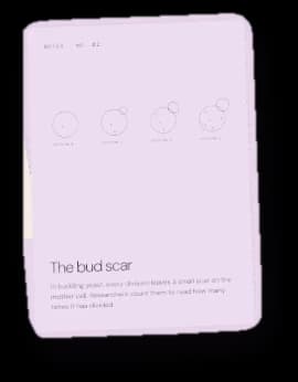 Notes card · No. 02