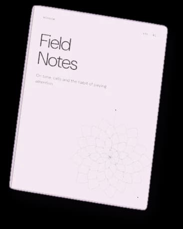 Field Notes · Vol. 01